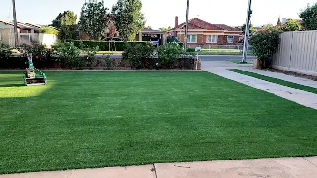 Tiftuff Bermuda Instant Lawn